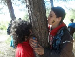 BRIÑAS DBH 1D-E